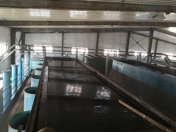 沈煤B5-5.jpg 沈煤B5-5.jpg