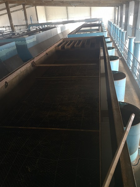 沈煤B5-4.jpg 沈煤B5-4.jpg