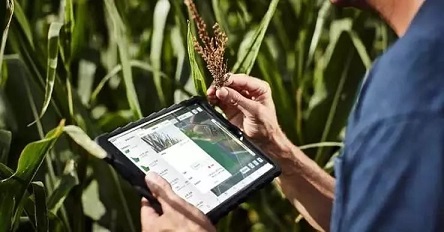 15354388402873bf454d0fd.jpg 15354388402873bf454d0fd.jpg