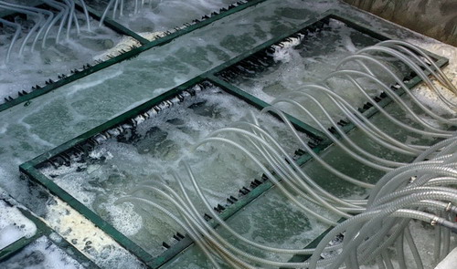 電鍍廢水的特點(diǎn)及處理工藝