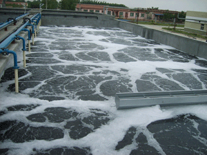 印染廢水的特點(diǎn)及處理工藝