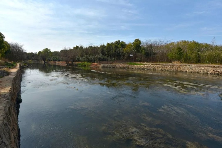 獎(jiǎng)補(bǔ)2億治理黑臭水體，農(nóng)村與城市的治理有什么不同？